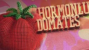 Istanbul Pride: Tomatoes with Hormones found their owners