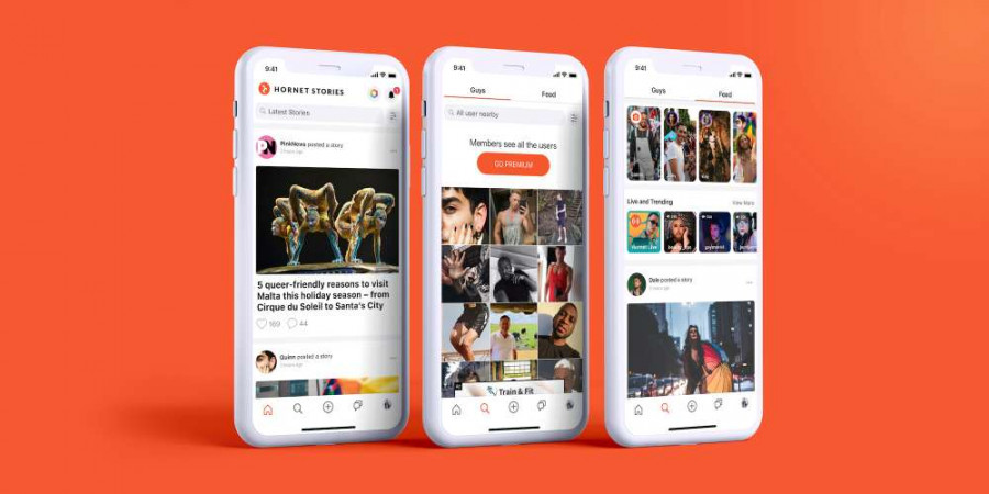 Hornet returns to Turkey App Store