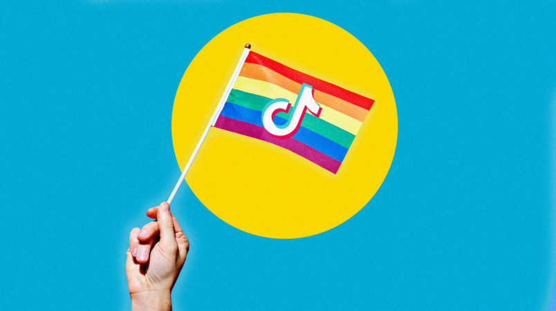 Mətbuat Şurası “LGBT nümayişi”ni mənfi kontent kimi təqdim edib