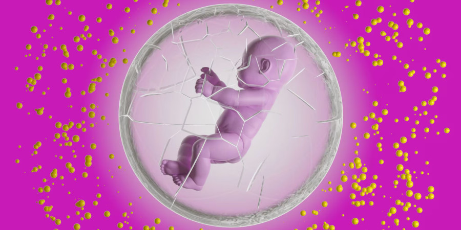 The impact of plastic products on human health