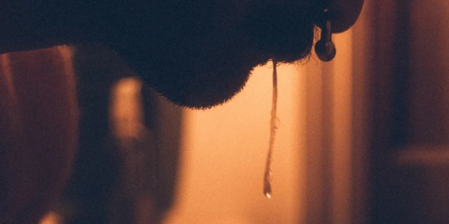 Saliva can provide information about the immune system